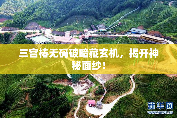 三宫椿无码破暗藏玄机，揭开神秘面纱！