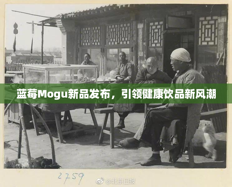 蓝莓Mogu新品发布，引领健康饮品新风潮