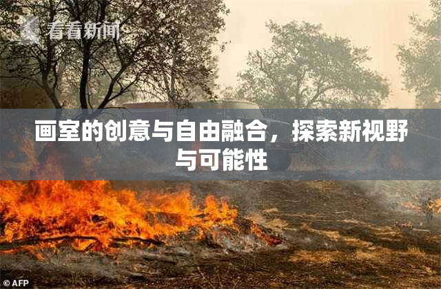 画室的创意与自由融合，探索新视野与可能性