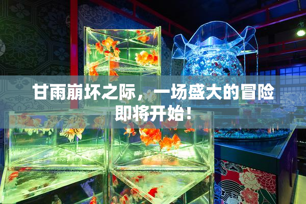 甘雨崩坏之际，一场盛大的冒险即将开始！