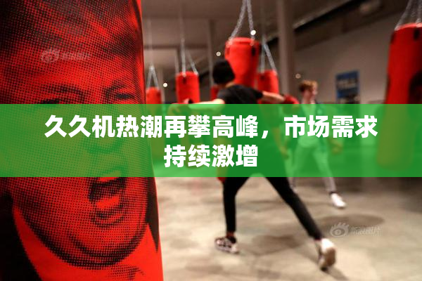久久机热潮再攀高峰，市场需求持续激增