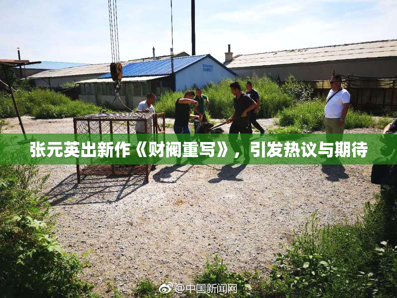 张元英出新作《财阀重写》，引发热议与期待