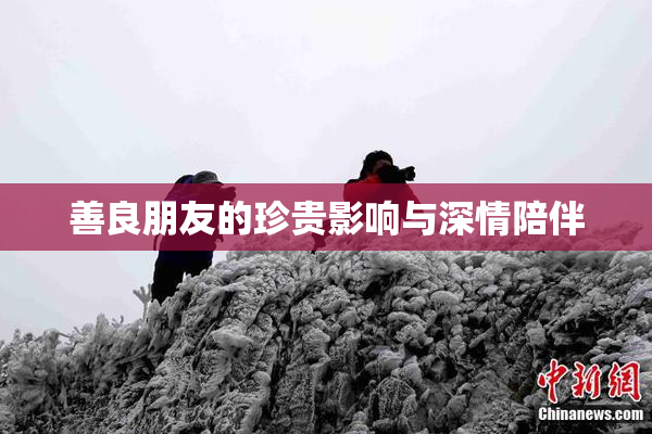 善良朋友的珍贵影响与深情陪伴