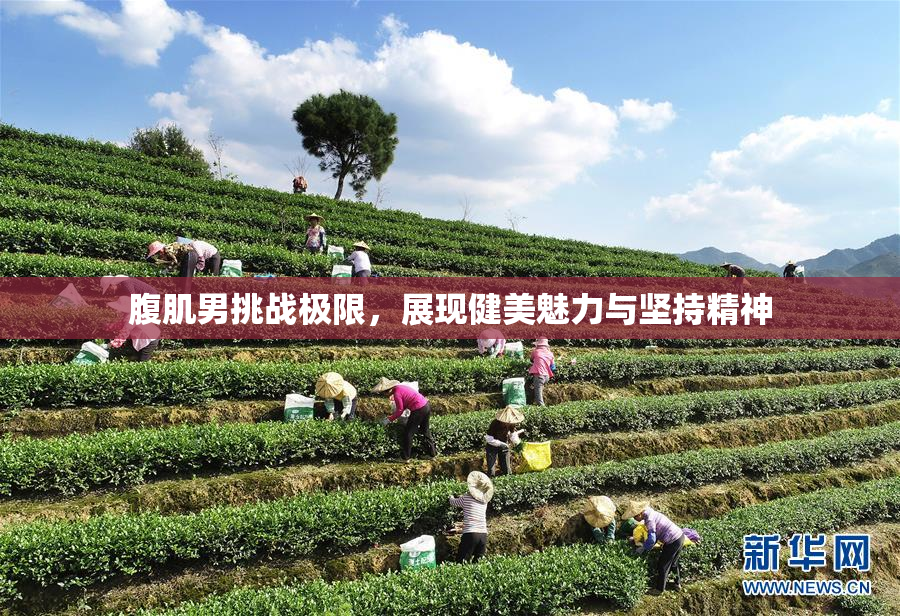 腹肌男挑战极限，展现健美魅力与坚持精神
