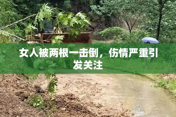 女人被两根一击倒，伤情严重引发关注