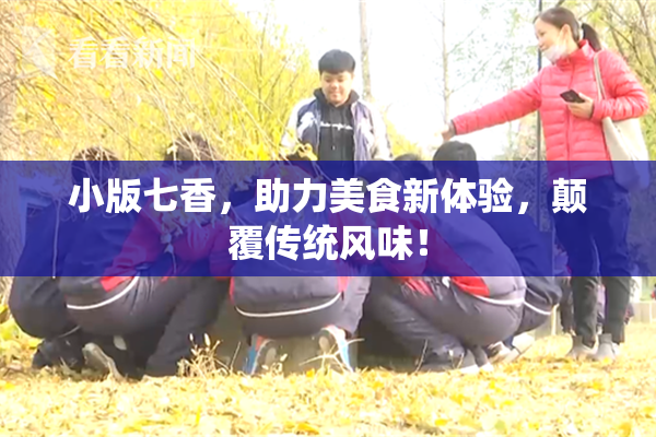 小版七香，助力美食新体验，颠覆传统风味！