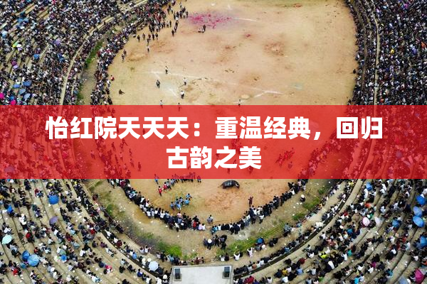 怡红院天天天：重温经典，回归古韵之美