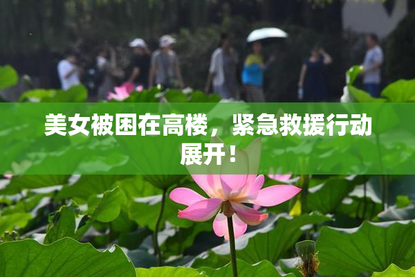 美女被困在高楼，紧急救援行动展开！