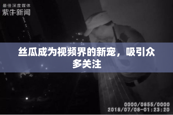 丝瓜成为视频界的新宠，吸引众多关注