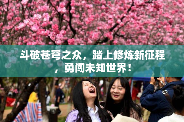 斗破苍穹之众，踏上修炼新征程，勇闯未知世界！