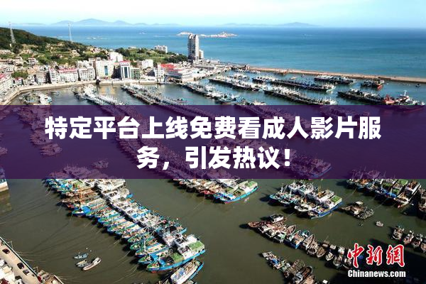 特定平台上线免费看成人影片服务，引发热议！