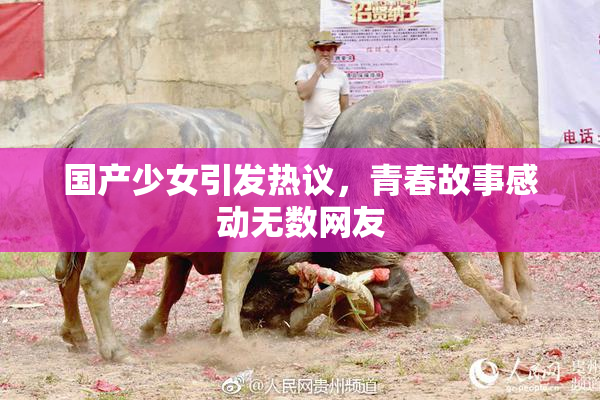 国产少女引发热议，青春故事感动无数网友