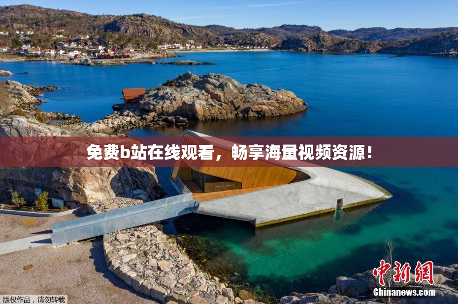 免费b站在线观看，畅享海量视频资源！