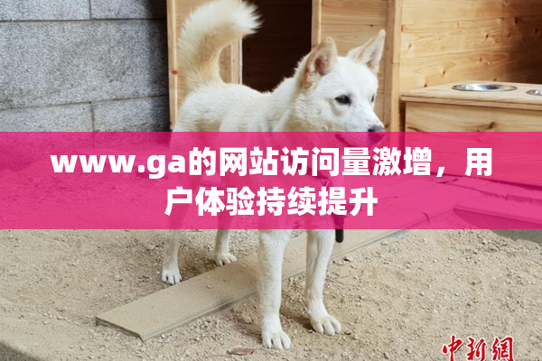 www.ga的网站访问量激增，用户体验持续提升