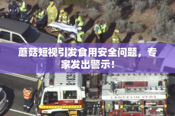 蘑菇短视引发食用安全问题，专家发出警示！