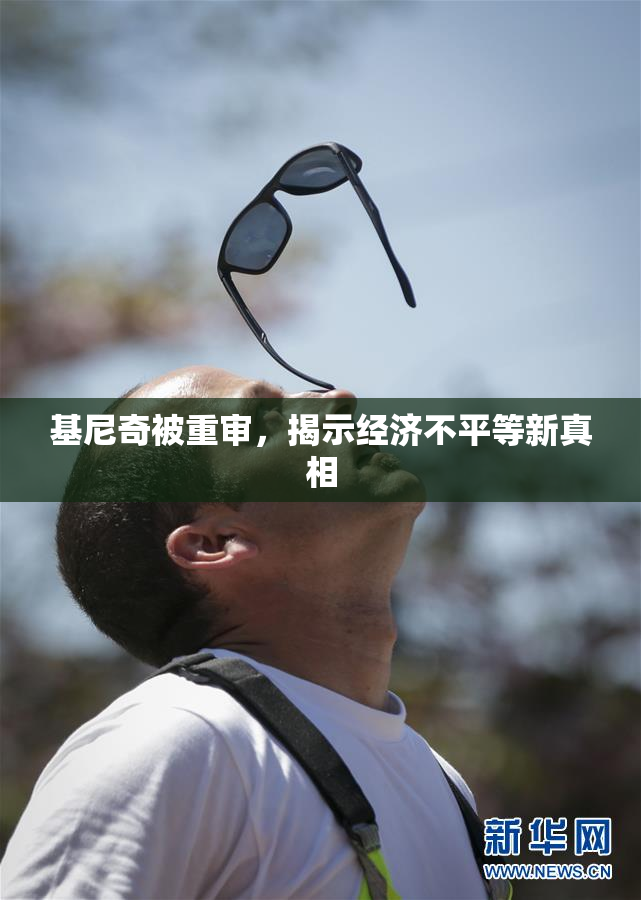 基尼奇被重审，揭示经济不平等新真相