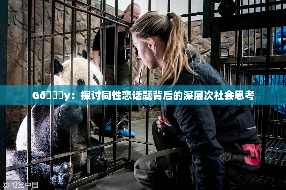 G🈚y：探讨同性恋话题背后的深层次社会思考