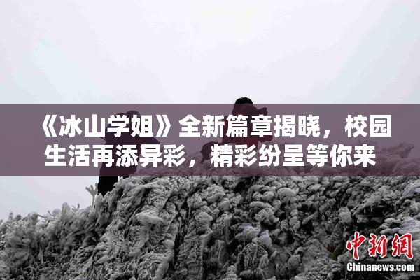 《冰山学姐》全新篇章揭晓，校园生活再添异彩，精彩纷呈等你来探！
