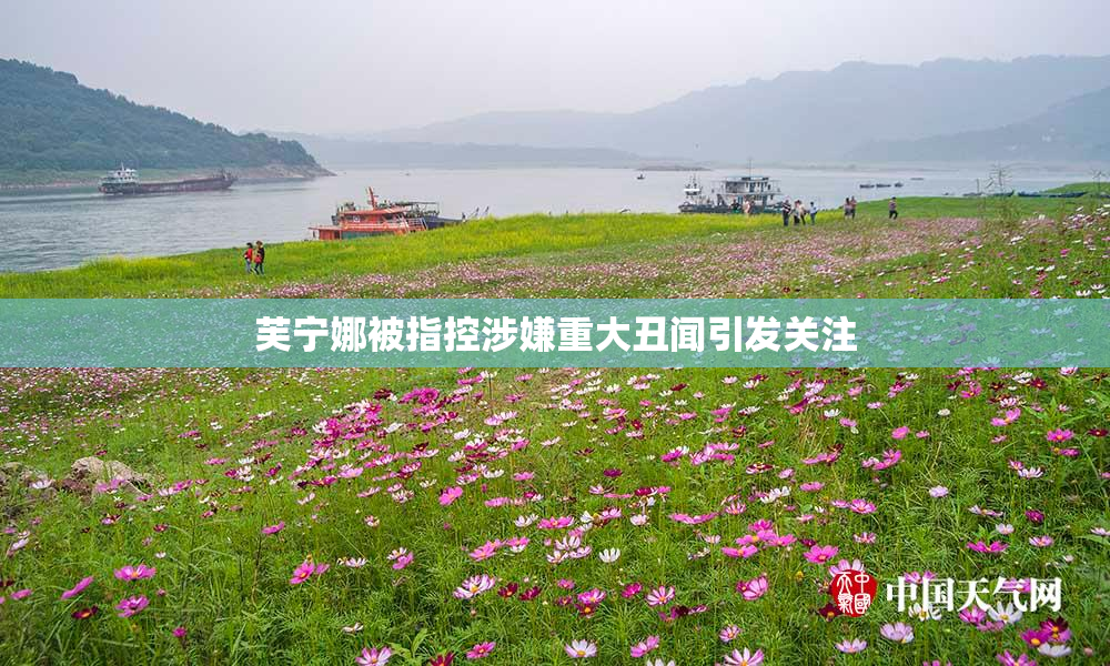 芙宁娜被指控涉嫌重大丑闻引发关注
