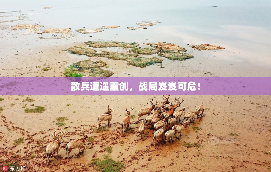 散兵遭遇重创，战局岌岌可危！