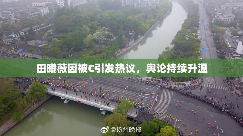田曦薇因被C引发热议，舆论持续升温