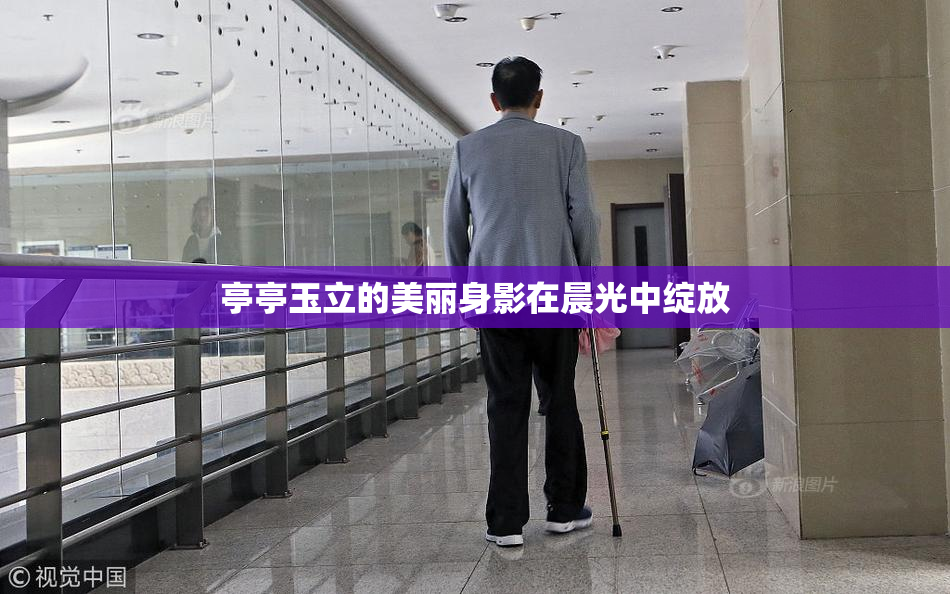 亭亭玉立的美丽身影在晨光中绽放