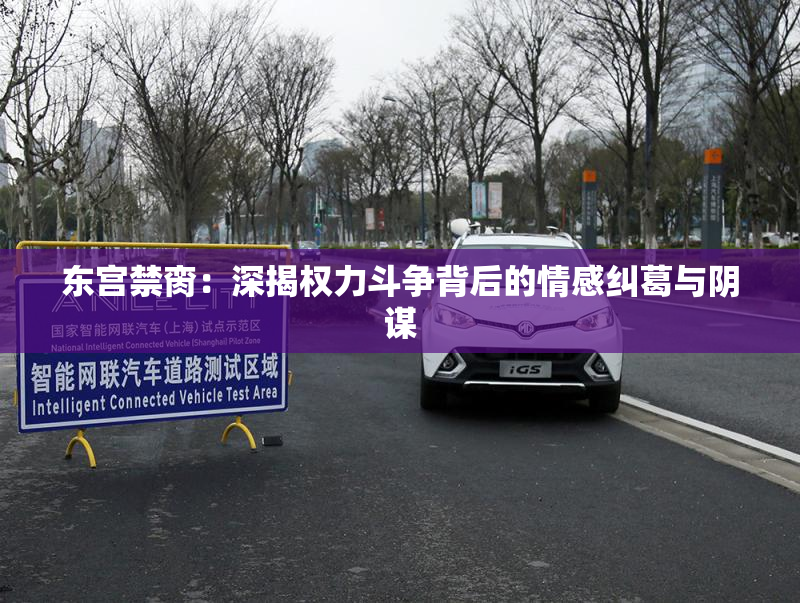 东宫禁脔：深揭权力斗争背后的情感纠葛与阴谋
