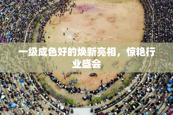 一级成色好的焕新亮相，惊艳行业盛会