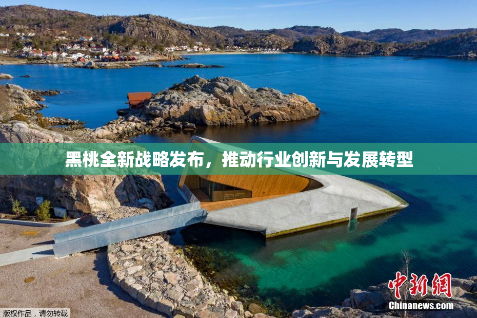 黑桃全新战略发布，推动行业创新与发展转型