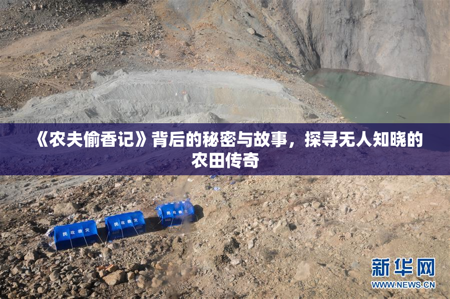 《农夫偷香记》背后的秘密与故事，探寻无人知晓的农田传奇