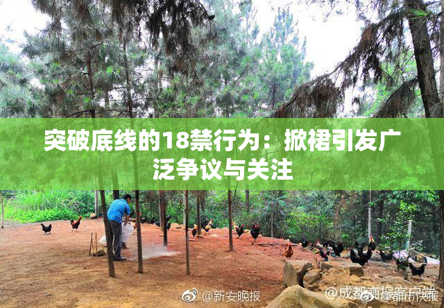 突破底线的18禁行为：掀裙引发广泛争议与关注