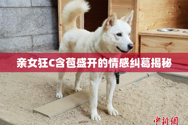 亲女狂C含苞盛开的情感纠葛揭秘