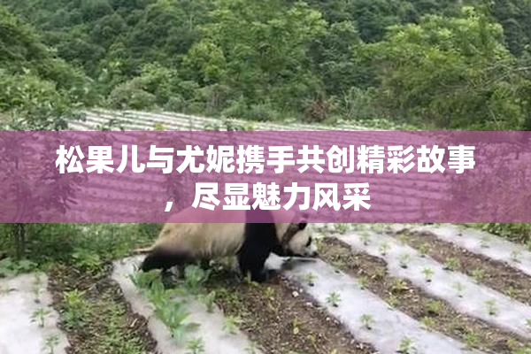 松果儿与尤妮携手共创精彩故事，尽显魅力风采