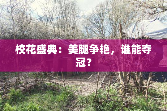 校花盛典：美腿争艳，谁能夺冠？