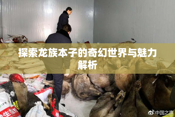 探索龙族本子的奇幻世界与魅力解析