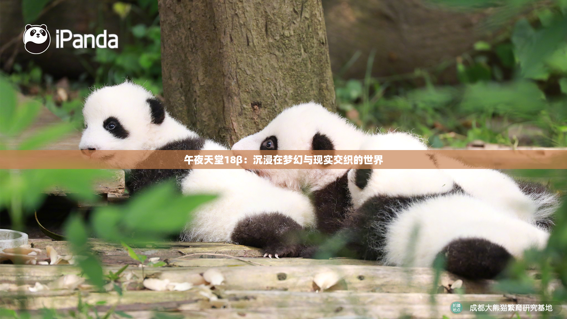 午夜天堂18β：沉浸在梦幻与现实交织的世界