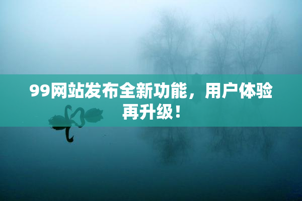 99网站发布全新功能，用户体验再升级！