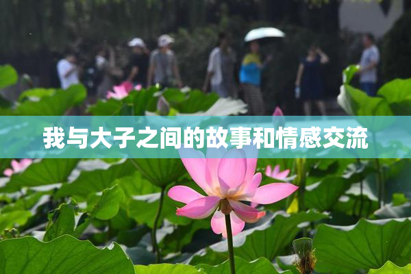 我与大子之间的故事和情感交流