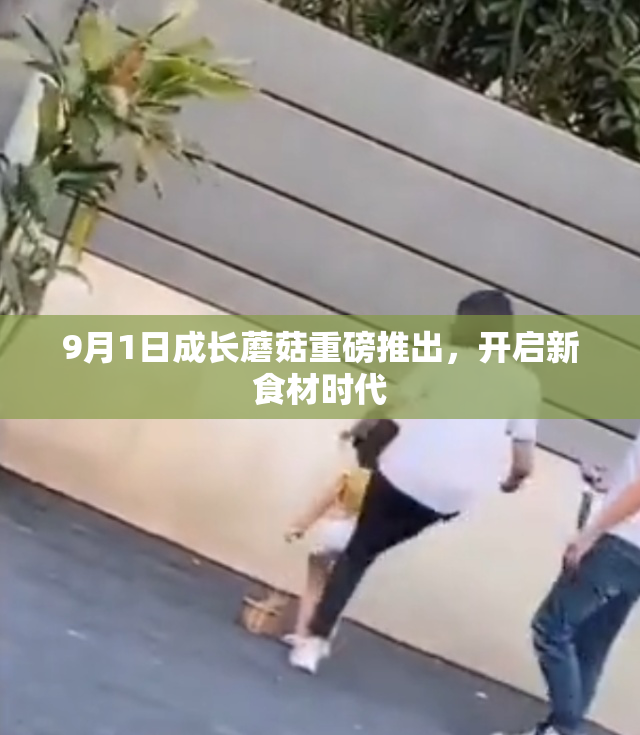 9月1日成长蘑菇重磅推出，开启新食材时代