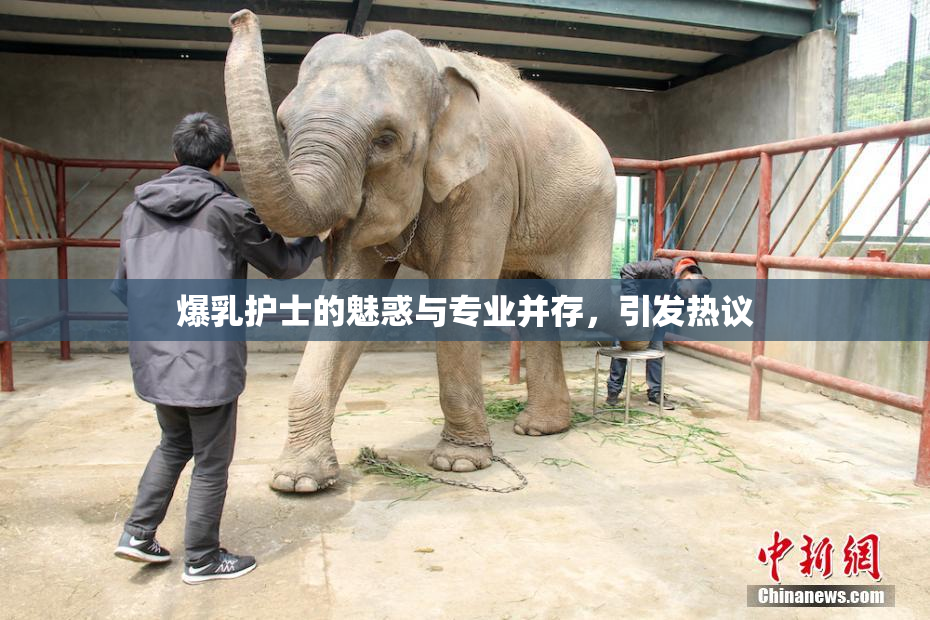 爆乳护士的魅惑与专业并存，引发热议
