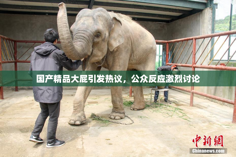 国产精品大屁引发热议，公众反应激烈讨论
