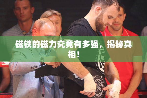 磁铁的磁力究竟有多强，揭秘真相！