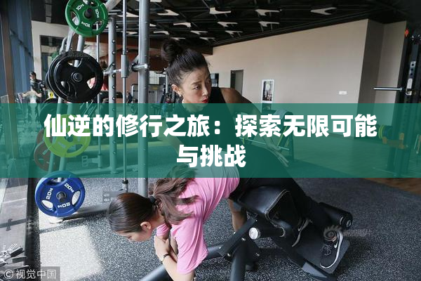 仙逆的修行之旅：探索无限可能与挑战