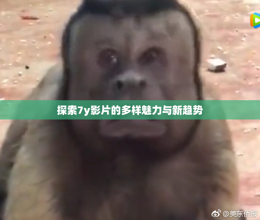 探索7y影片的多样魅力与新趋势