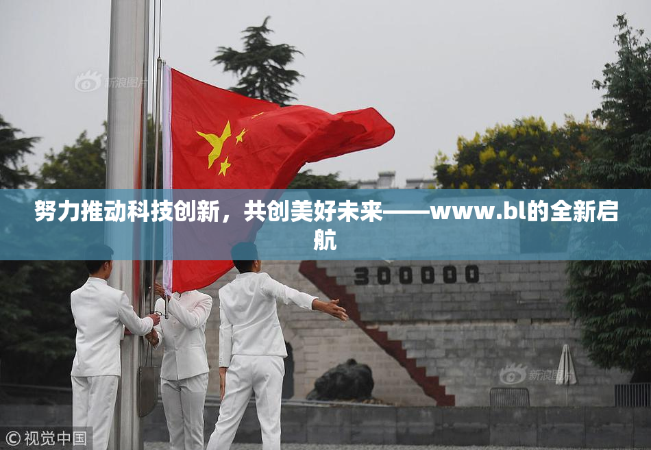 努力推动科技创新，共创美好未来——www.bl的全新启航