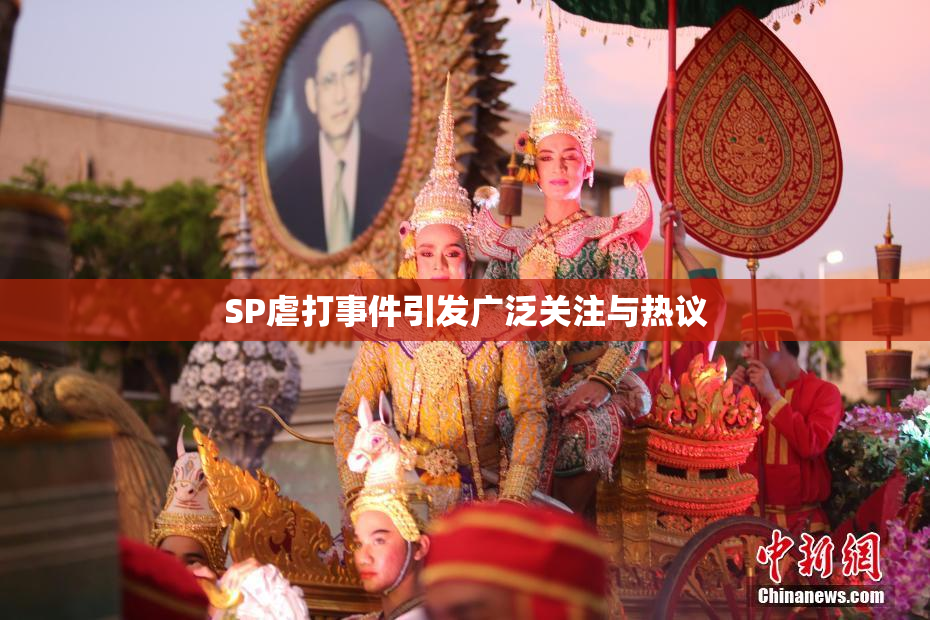 SP虐打事件引发广泛关注与热议