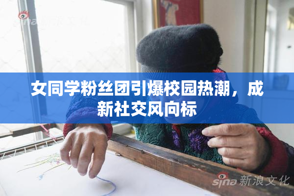 女同学粉丝团引爆校园热潮，成新社交风向标