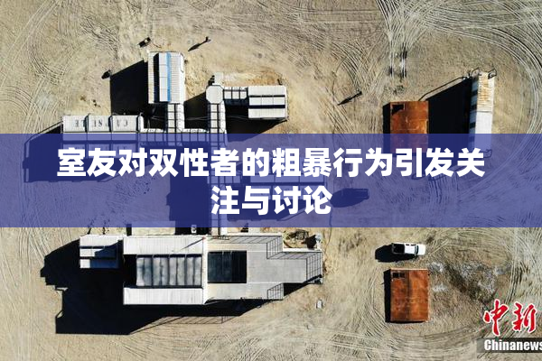 室友对双性者的粗暴行为引发关注与讨论