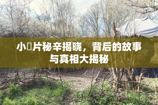 小黃片秘辛揭晓，背后的故事与真相大揭秘