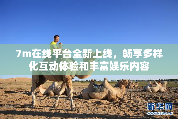 7m在线平台全新上线，畅享多样化互动体验和丰富娱乐内容